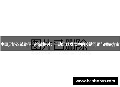中国足协改革路径与挑战探讨：推动足球发展中的关键问题与解决方案