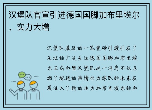 汉堡队官宣引进德国国脚加布里埃尔，实力大增