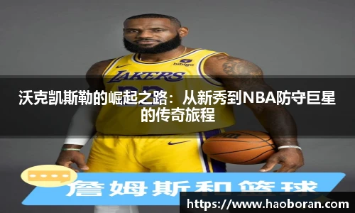 哈哈体育全站